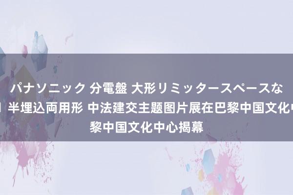 パナソニック 分電盤 大形リミッタースペースなし 露出・半埋込両用形 中法建交主题图片展在巴黎中国文化中心揭幕