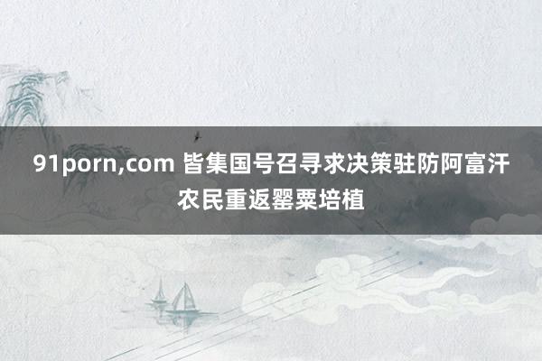 91porn，com 皆集国号召寻求决策驻防阿富汗农民重返罂粟培植