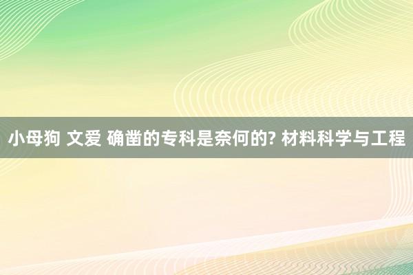 小母狗 文爱 确凿的专科是奈何的? 材料科学与工程