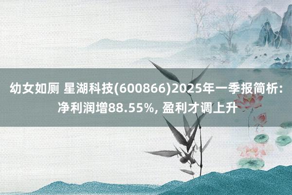 幼女如厕 星湖科技(600866)2025年一季报简析: 净利润增88.55%， 盈利才调上升