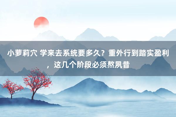 小萝莉穴 学来去系统要多久？重外行到踏实盈利，这几个阶段必须熬夙昔