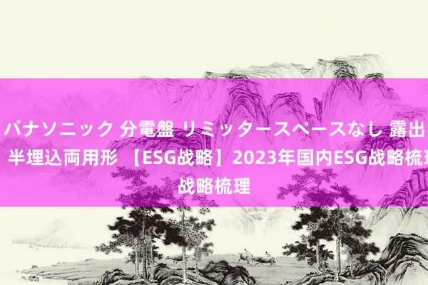 パナソニック 分電盤 リミッタースペースなし 露出・半埋込両用形 【ESG战略】2023年国内ESG战略梳理
