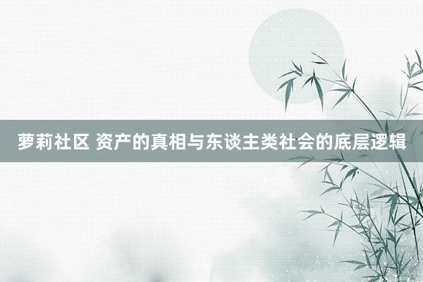 萝莉社区 资产的真相与东谈主类社会的底层逻辑