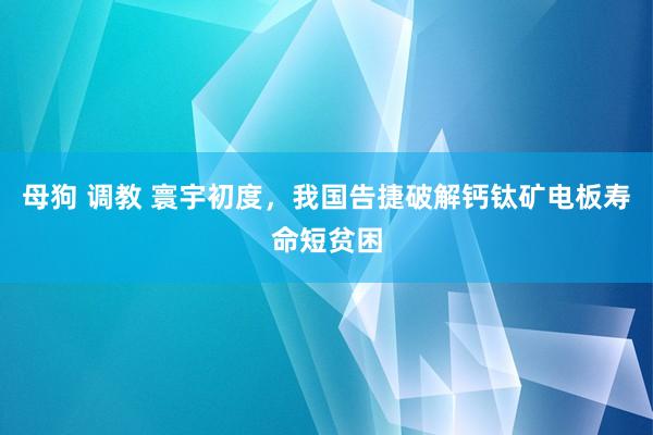 母狗 调教 寰宇初度，我国告捷破解钙钛矿电板寿命短贫困