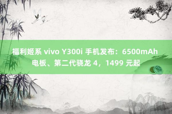 福利姬系 vivo Y300i 手机发布：6500mAh 电板、第二代骁龙 4，1499 元起